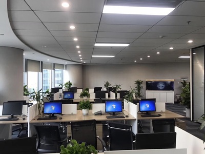 深耕區域，洞察市場 浙江杭鑫經濟信息咨詢的市場調查實踐與價值